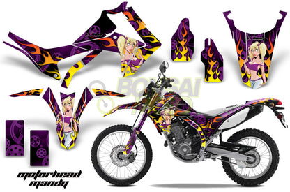 CRF250L/M (13-16)　AMRデカール ボディキット